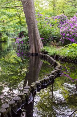 Lori-Rocks:  The Path, Tiergarten - Berlin, Germany Via Pinterest 