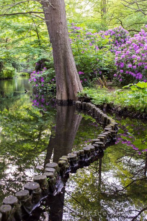 XXX lori-rocks:  The Path, Tiergarten - Berlin, photo