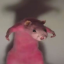 sungodra