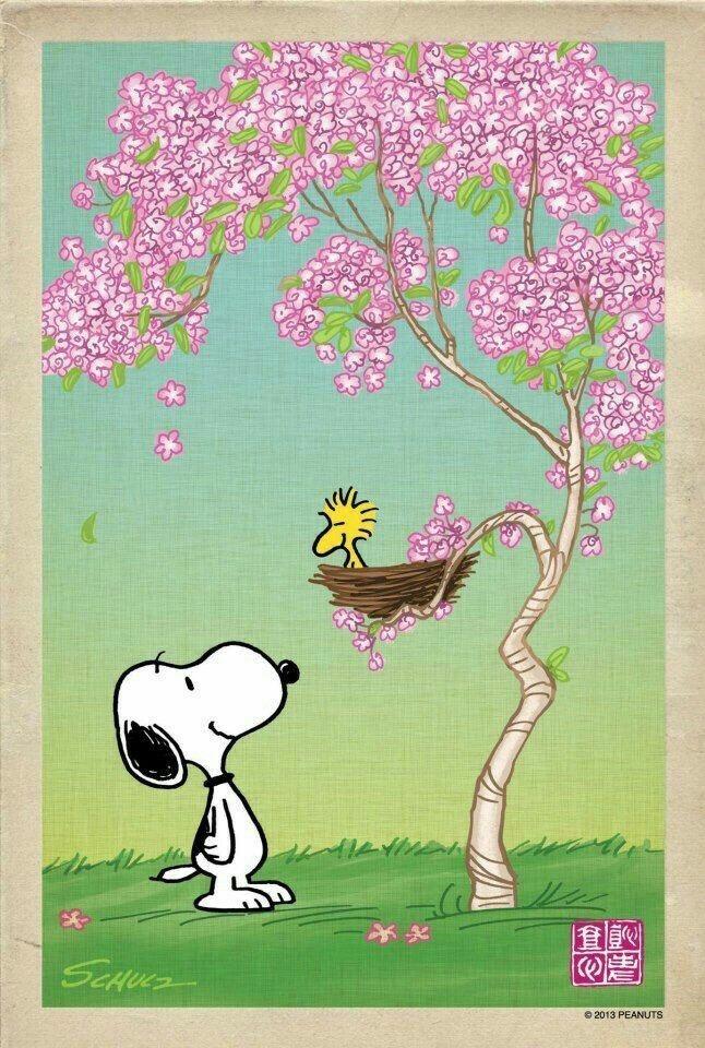 charliebrown101:  Cherry Blossoms #spring  @giphy 