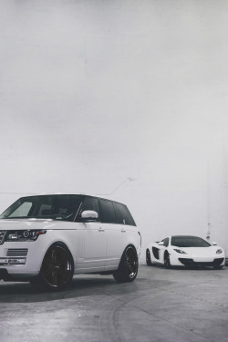 avenuesofinspiration:  Squad | Photographer