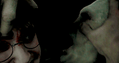 harrypotterdailly: Do not pity the dead, Harry. Pity the living and above all, those