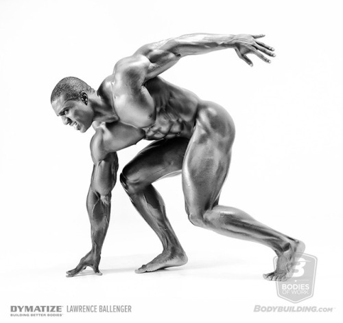 melaninmuscle: LAWRENCE BALLENGER