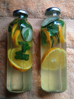 lunebrille:  Detox water is so good.