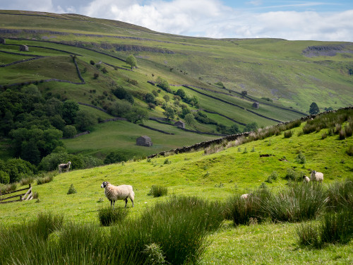  British Countryside by Bob Radlinski