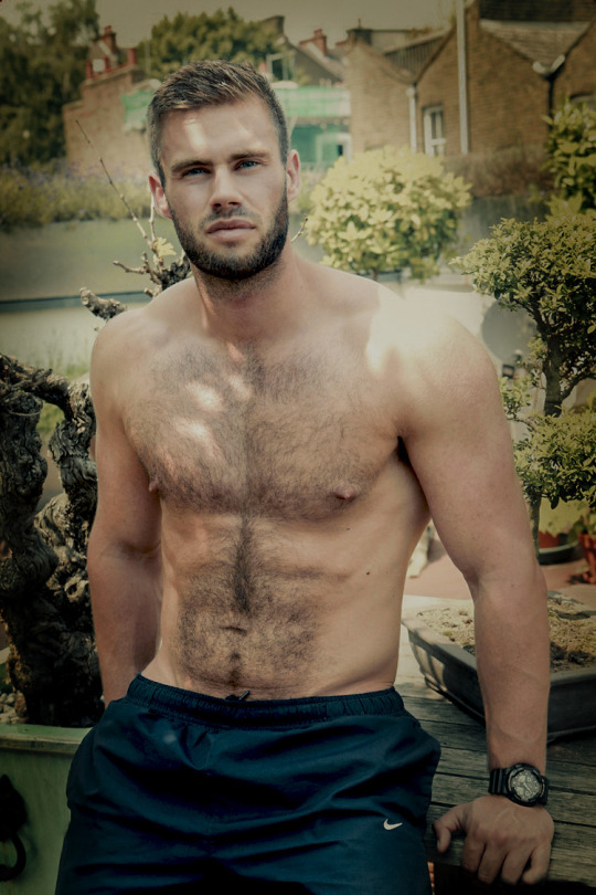 insatiable-pig:  . 