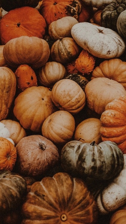 seasonalaesthetics:Here’s a new set of autumn/halloween lockscreens! Please like and reblog if you s