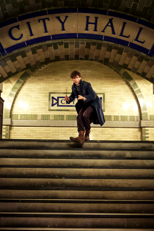 Fantastic Beasts And Where To Find Them (2016), dir. David Yates.