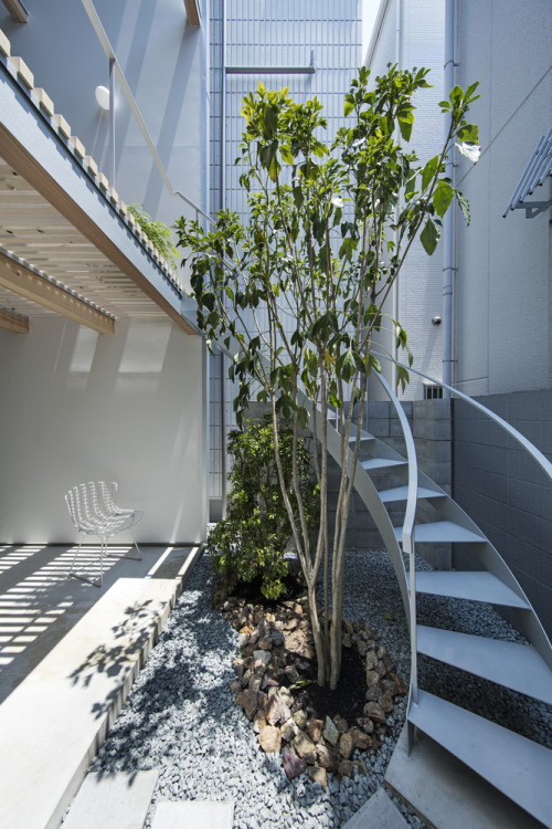 kazu721010:House for Living in the Park / Shuhei Goto ArchitectsPhotos @ Kenta Hasegawa