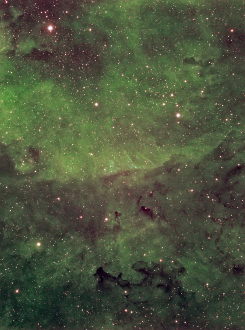 science-junkie: Barnard 344: a dark nebula in the constellation of Cygnus (via astro-photo.nl)