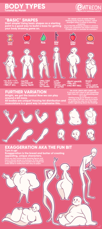 marshmallowfury: ★ Body Type Tutorial ★ Funded by my awesome Patrons! Patreon | Twitter