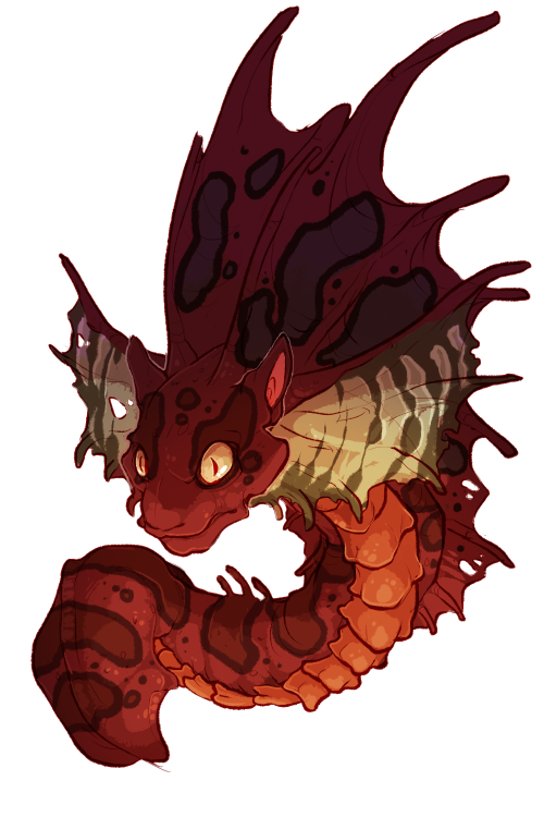 sphenodontia:  some random busts for fr dragons  