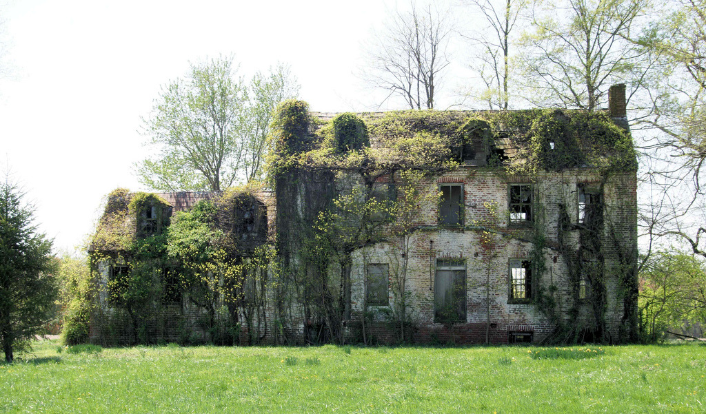 abandoned-playgrounds:  Abandoned Home in Maryland  