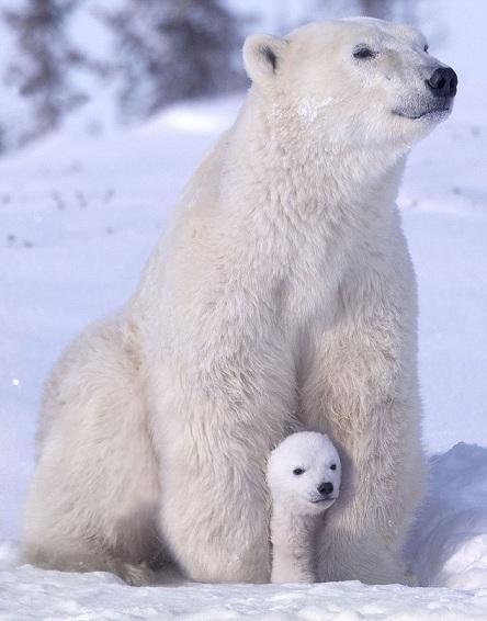 Mom’s got your back