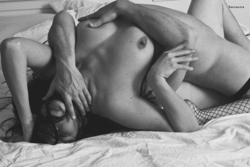 Quello che cerchi