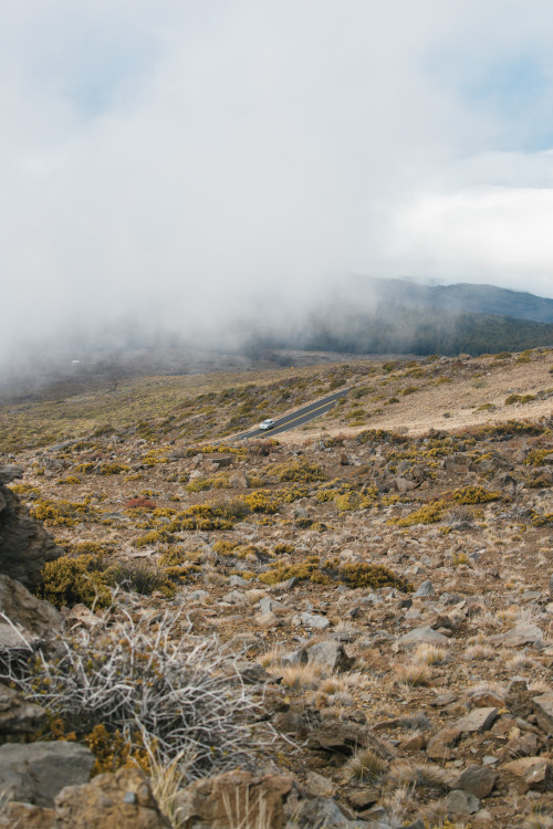 haleakalā - i’d hoped to see sunrise here but unfortunately it wasn’t in the cards for this trip tho