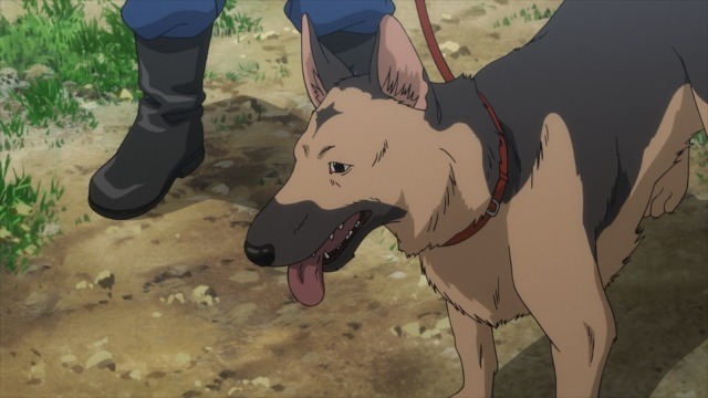 German Shepherd Rottweiler Anime Drawing Anime mammal carnivoran dog  Like Mammal png  PNGWing