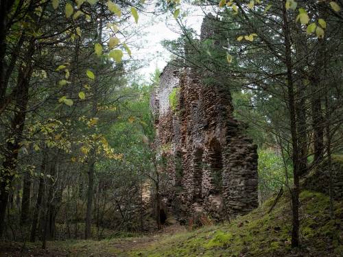 The Pine Barrens, New Jersey