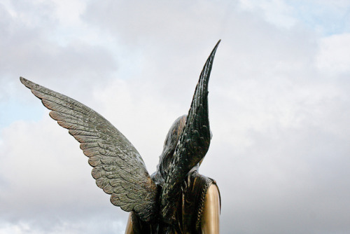 Gorgeous angel wings. Photograph by Suzanne Schroeter; Flickr.com/shezamm.View more Angel Sightings 