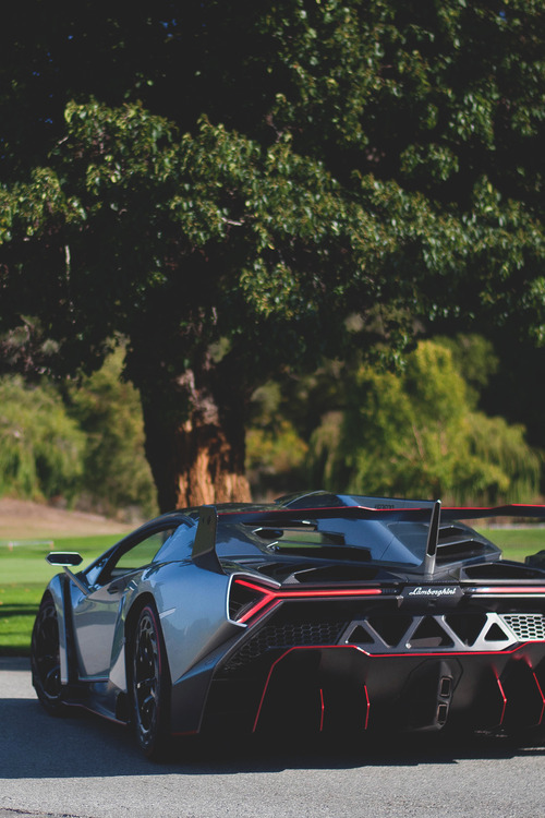 automobile-heaven:  veneno roadster- not my picture 