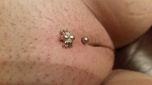 pussymodsgaloreA Christina piercing with a decorative curved barbell.The original poster says: “Got a new spider ball”.