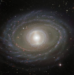photos-of-space:Ribbons and pearls -the barred spiral galaxy NGC 1398 [3416 x 3463]