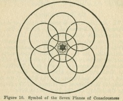 shirleyspectre:  The Seven planes of consciousness 1- The Plane of the Elements 2- The Plane of the Minerals 3- The Plane of the Plants 4-The Plane of the Animals 5-The Plane of the Human 6- The Plane of the Demi-Gods 7- The Plane of the Gods. 