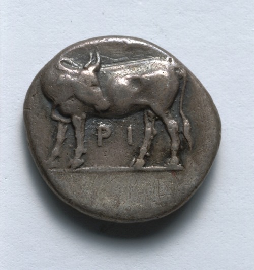 cma-greek-roman-art:Hemidrachma: Bull (reverse), c. 400 BC, Cleveland Museum of Art: Greek and Roman