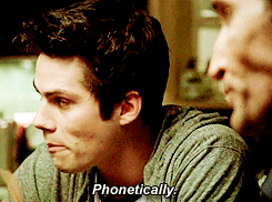 In Which Stiles Is An Amazing Liar