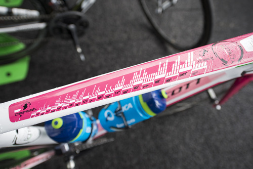 faustobocchi: Svein Tuft’s bike