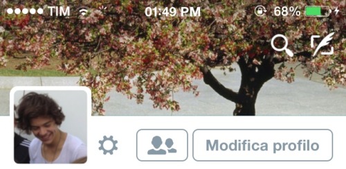 ୨୧˙˳⋆ harry styles layouts ⋆˳˙୨୧ • like or reblog if save. • don’t steal please, respect my work. • 