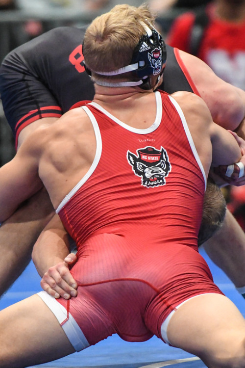 tallguyswithsmalldicks: silverskinsrepository:Hayden Hidlay Is there anything better than a hot wres