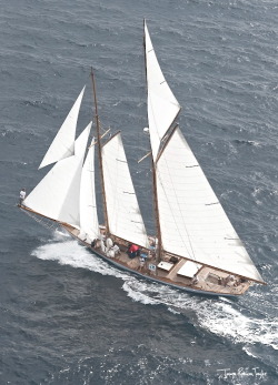 boatporn:  vagabundotothesea:  Kelpie www.regatesroyales.com   I need more schooners.