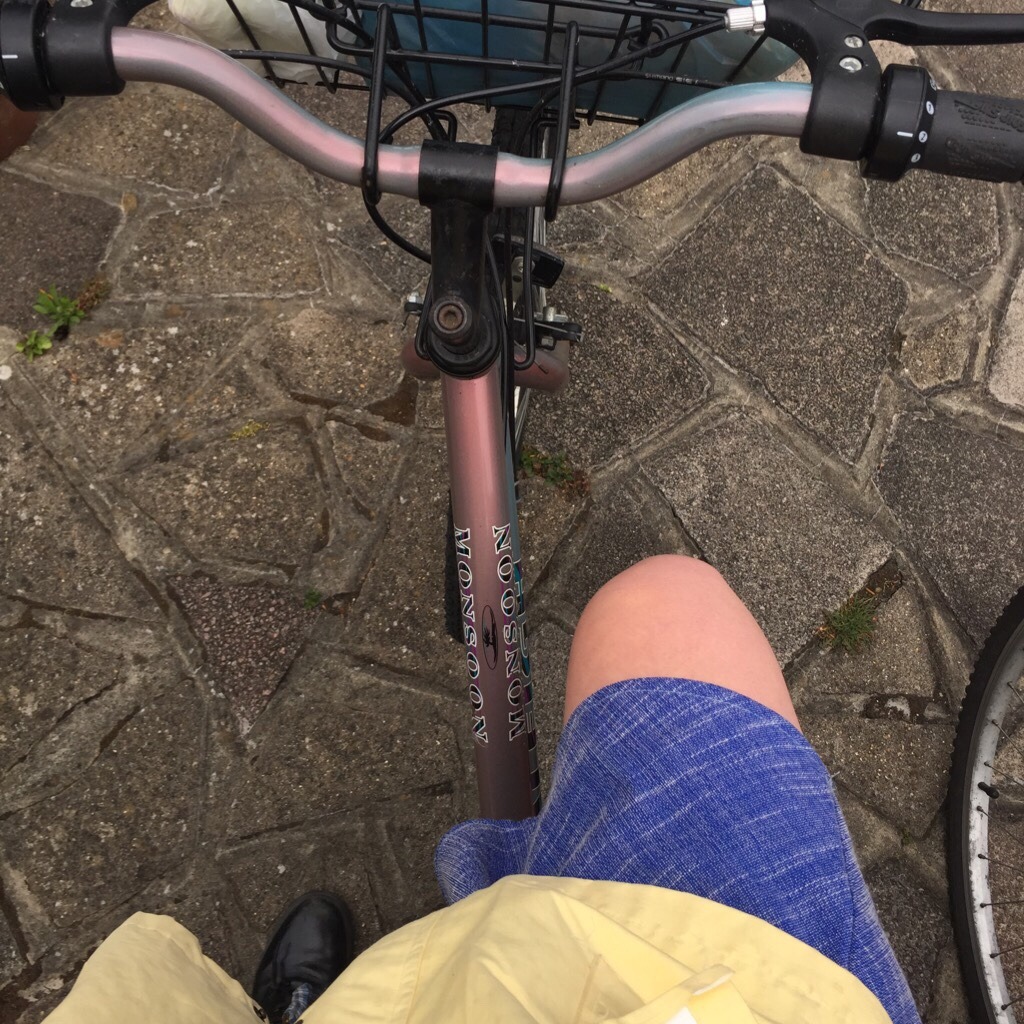 plantre:  cycles &amp; collects fruits !!! 🍑 