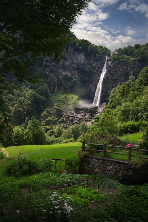djferreira224: Valle Maggia, Ticino, Switzerland ❁❁ Calm and relaxing jungle blog ❁❁