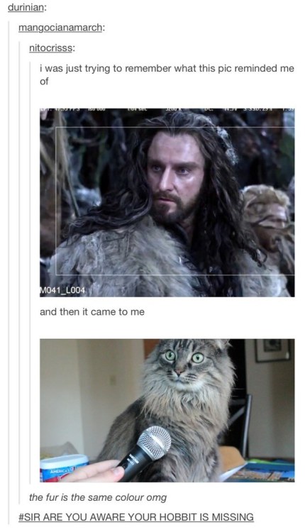 frei-rancken: ameninadocachecolvermelho: justaheartbrokenfangirl: Tumblr+The Lord of the Rings @frei