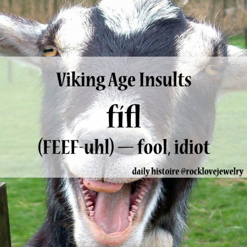 fuckyeahvikingsandcelts:rocklovejewelry:Viking Age InsultsMore @facebook.com/rocklovefanpageMore on 