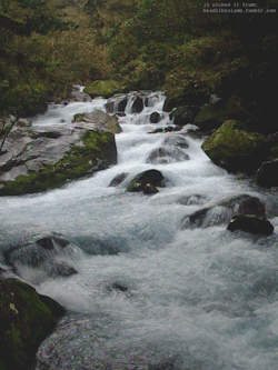 headlikealamb:idrankit