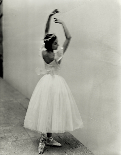 vintagechampagnefever:  Margot Fonteyn photographed by Cecil Beaton  