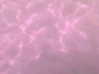lanina-latina:  pink water,