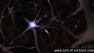 sixpenceee:  courageouscacti:  nubbednuggetman:  flaminghomobellybutton:  sixpenceee: