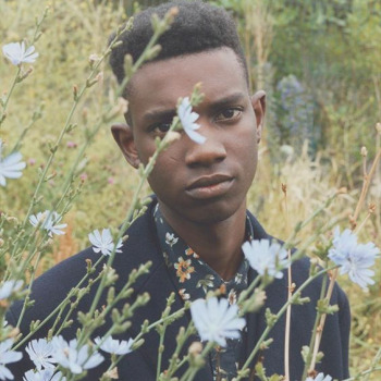 sgamoodboards:mlm moodboards → floral mlm aestheticrequested by anonymous