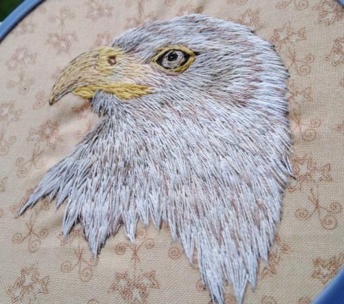 Hand-embroidered Bald EagleEtsy: @beebordandoInstagram: @beebordadodon’t delete the caption