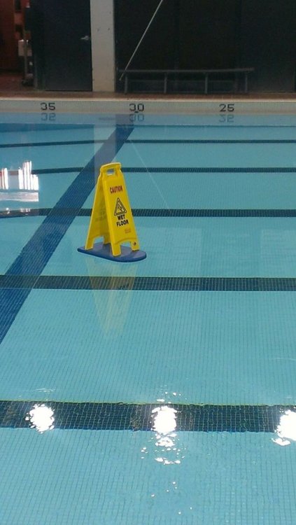 everything-is-better-with-a-ph:  nose-coffee:  why-do-i-need-to-type-a-name: Oshit   are we just gonna ignore the sign that says ‘caution: wet floor’ in the middle of a pool 