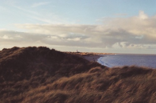 Sylt | Deutschland 01/2018