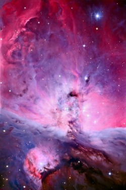 themagicofreality:  M42: Center of the Orion