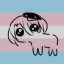 degenerateshinji