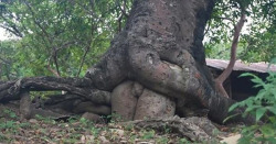 Picsthatmakeyougohmm:hmmm