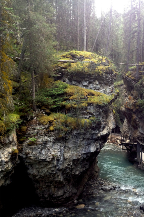 quiet-nymph:
“ Johnston Canyon, Banff National Park, Alberta, Canada by trent maynard
”