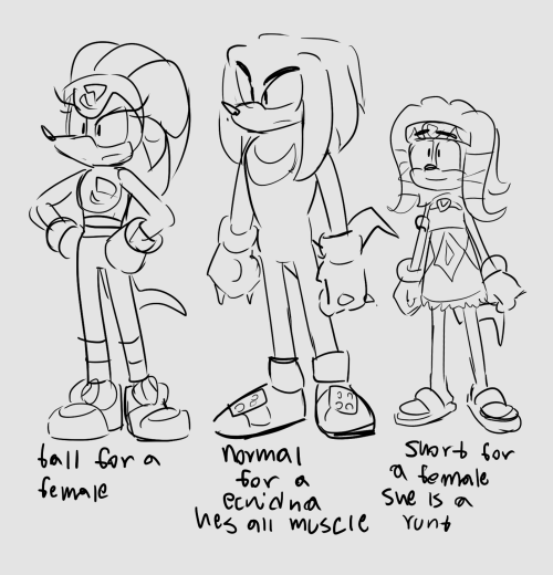 some headcanons for sonic body types and animals- silver has large eyebrows which is uncommon- knuck